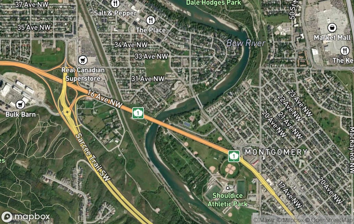 Shaganappi aerial view